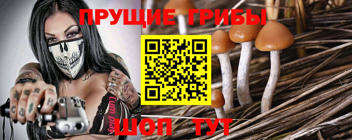 Галлюциногенные грибы GOLDEN TEACHER Казань