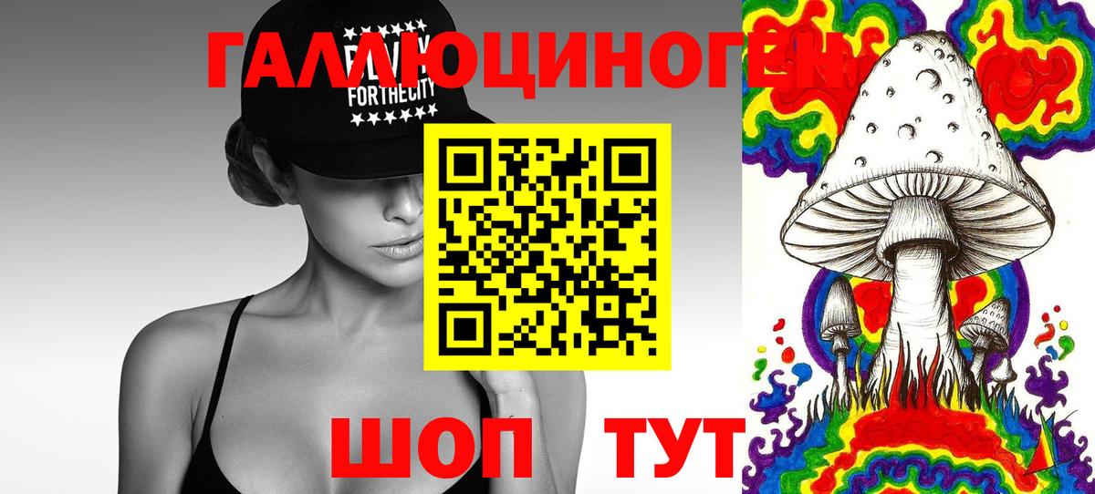 купить   Вход с VPN  Казань  Псилоцибиновые грибы Psilocybine cubensis 